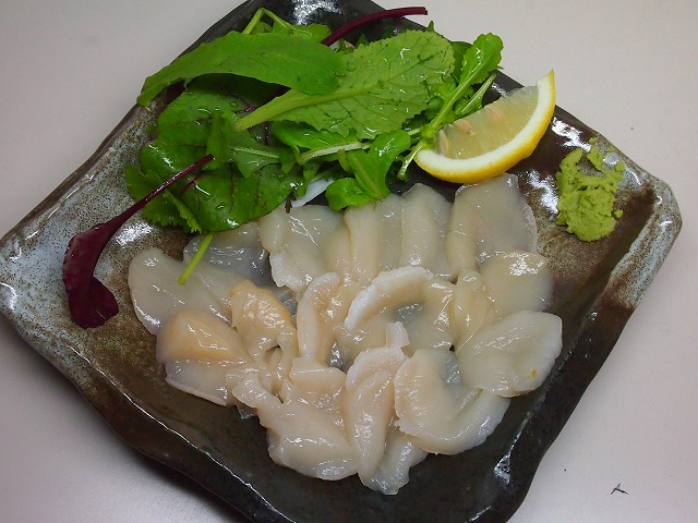 P1090014.jpg