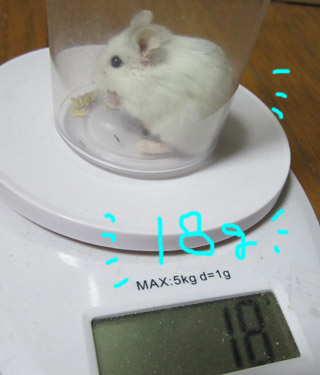 しる18g.jpg