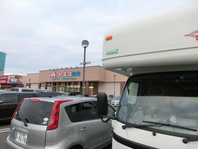 CIMG7415.jpg