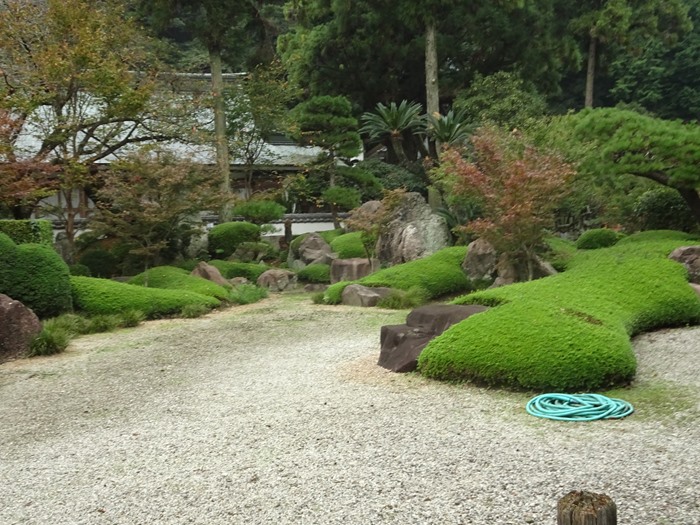 DSC01816_R.JPG
