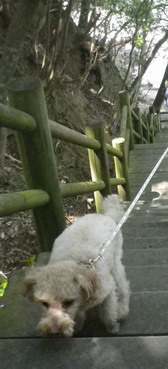 IMGP1220 4.jpg