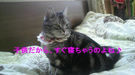 2012_0330うさちゃん1309.JPG