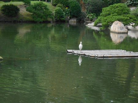 広島　縮景園