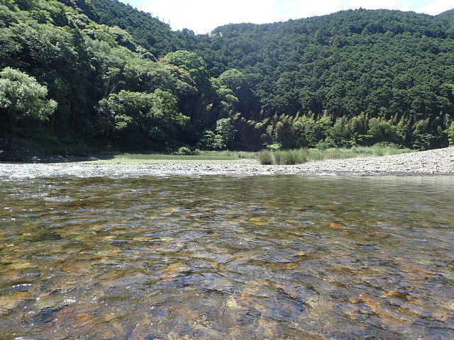 resize0038.jpg