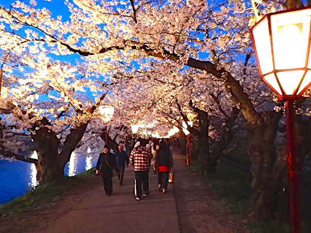 桜トンネル