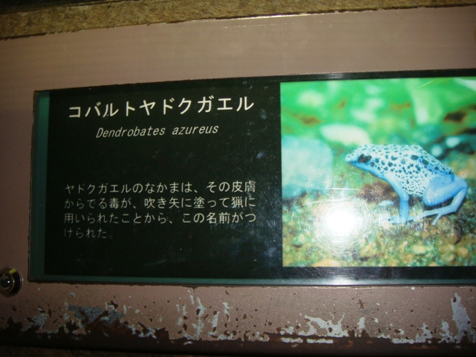 DSC03807.jpg