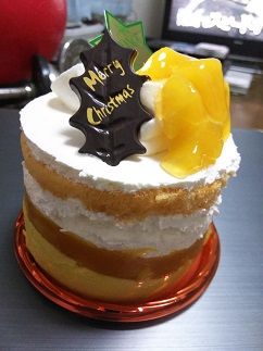 一人用 クリスマスケーキ ロールケーキ 夏希ヒョウの世界へようこそ 楽天ブログ