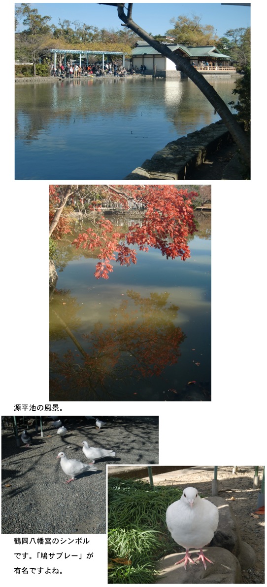 2013.12.01-6.jpg
