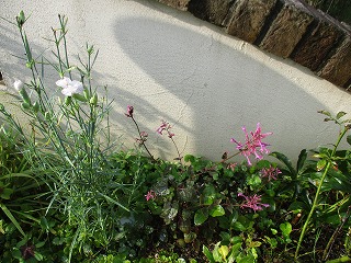 IMG_5834ss.jpg