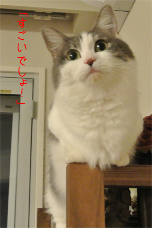 mumu2.jpg