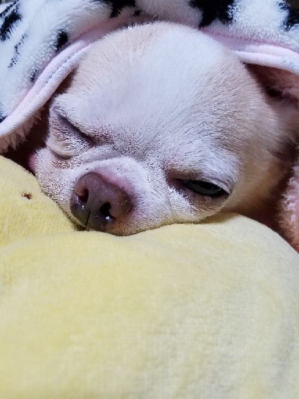 rblog-20180927230213-00.jpg