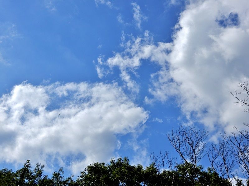 空2
