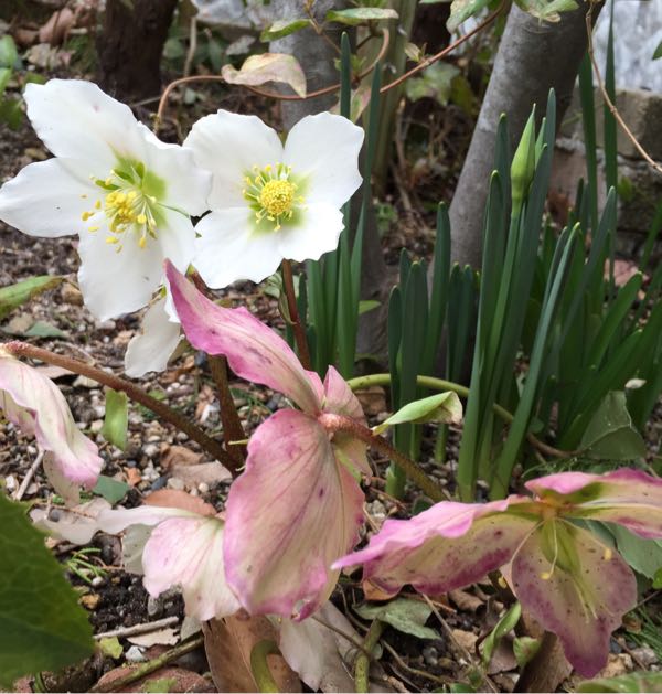 rblog-20160223153546-01.jpg