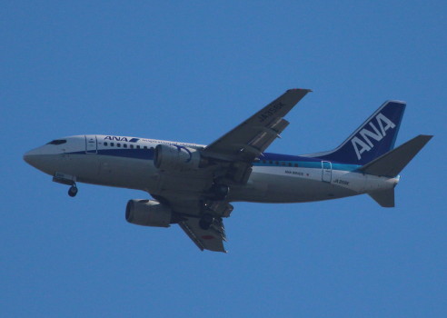 IMG_9882_1.JPG
