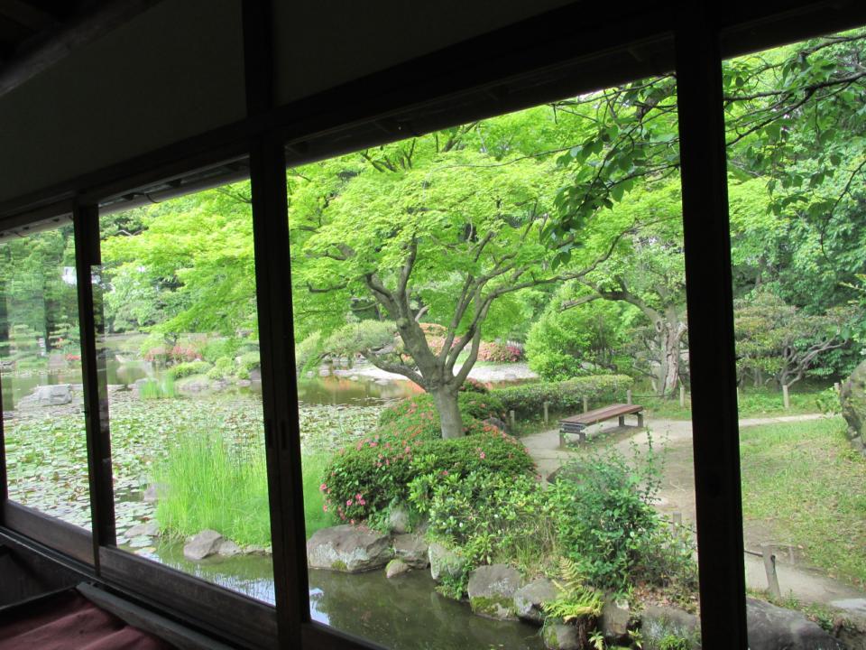 スポット探訪 大阪・天王寺公園内 慶沢園 | 遊心六中記 - 楽天ブログ