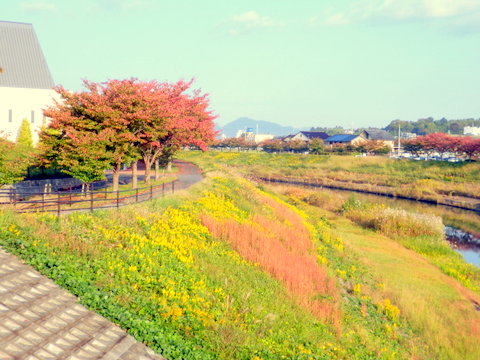 武庫川眺めて