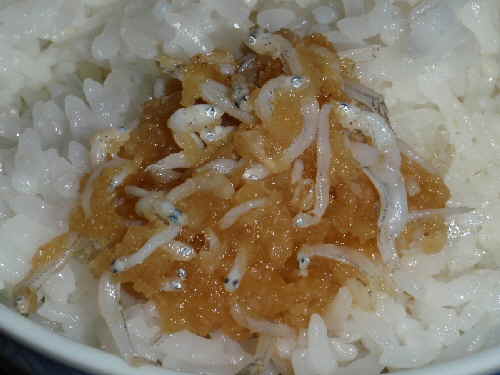 PA24ちりめんおろし.jpg