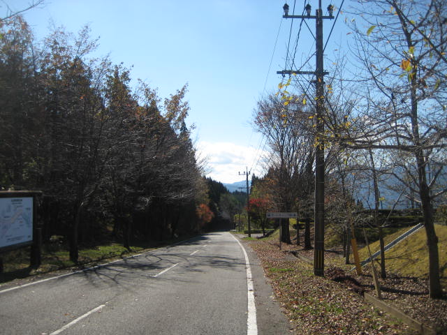 IMG_3786.JPG