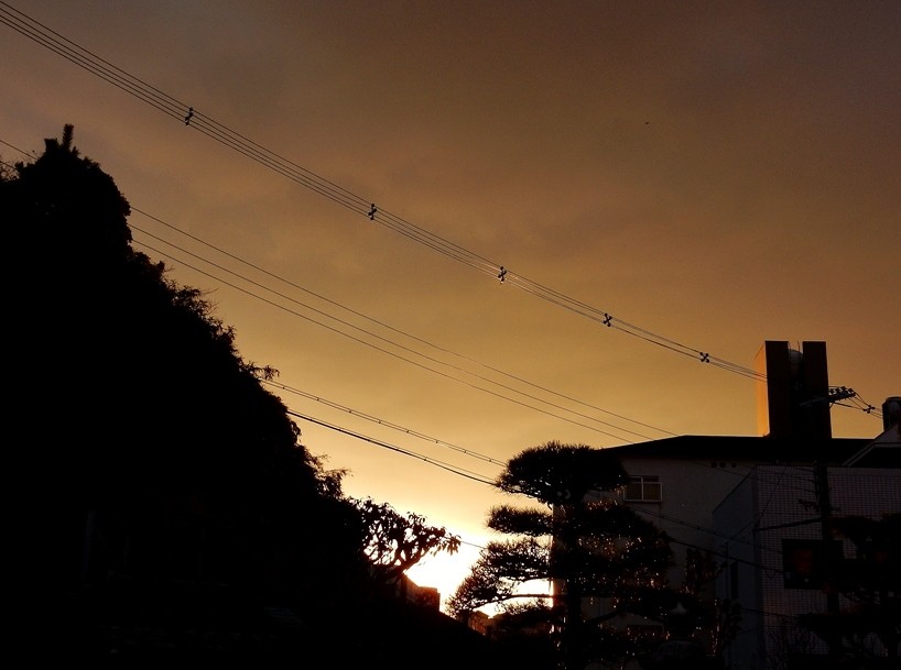 夕暮れ 3.JPG