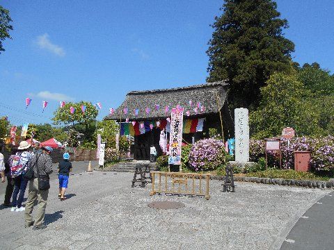 つつじ寺 塩船観音寺 青梅市 その1 Shinanonokuniのブログ2 楽天ブログ つつじ寺 塩船観音寺 青梅市 その1 Shinanonokuniのブログ2 楽天ブログ