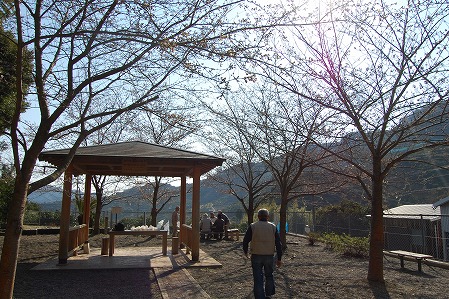 DSC_1186.jpg