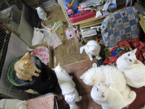 16a0334.jpg