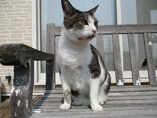 IMG_9385ss.jpg