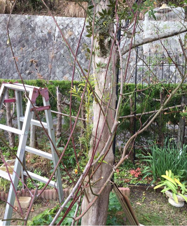 rblog-20170103213734-04.jpg