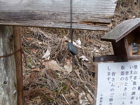 P1040911.JPG
