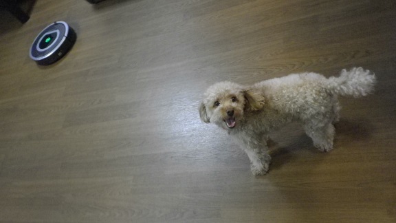 IMGP0115　32.jpg