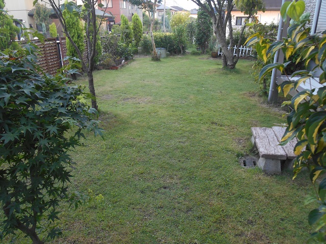 DSCN0821.JPG