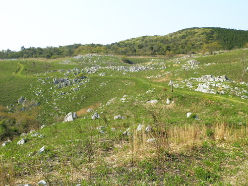 秋吉台-37.jpg