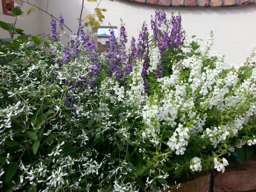 rblog-20140621160624-04.jpg