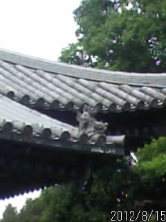 鑁阿寺の狛犬２