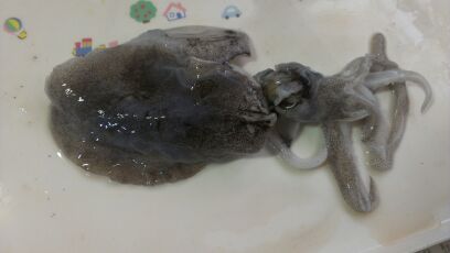 rblog-20140919192755-03.jpg