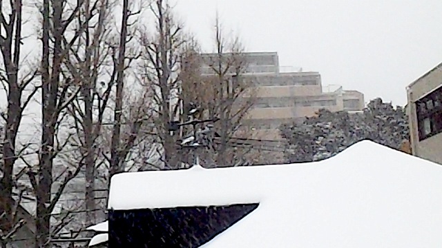 140208_143244.jpg