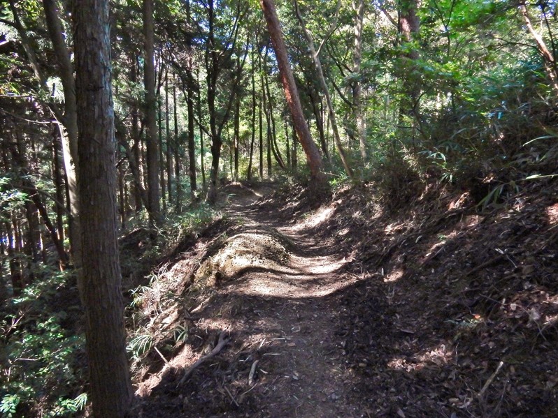 山道1.JPG