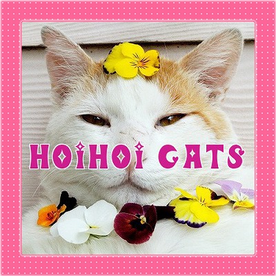 猫の耳ダニ Hoihoi Cats 楽天ブログ