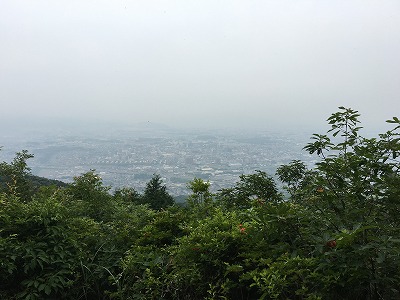 IMG_1455.jpg