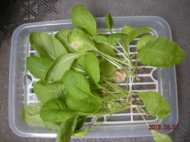 DSCN9317.JPG