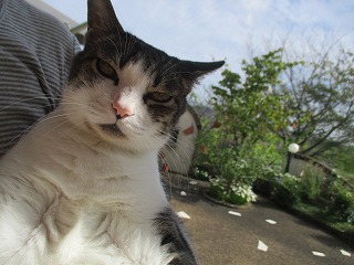 IMG_9855ss.jpg