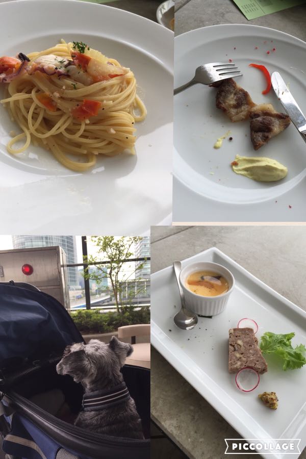 rblog-20160526024019-05.jpg