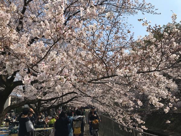 rblog-20190331200607-03.jpg