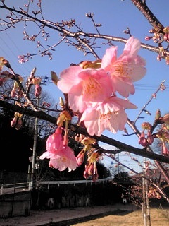 20140303163740.jpg
