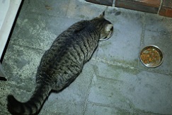 5DA_0761-5.jpg