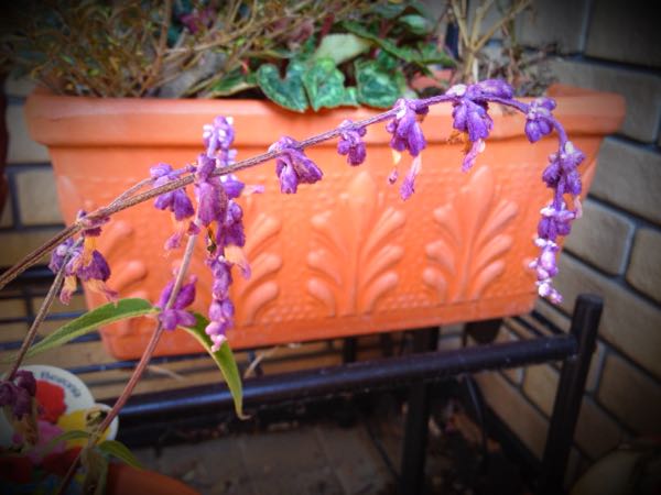 rblog-20141231140627-00.jpg