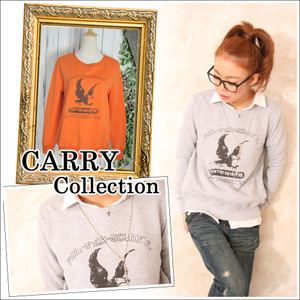 tps-sw-0014top.jpg