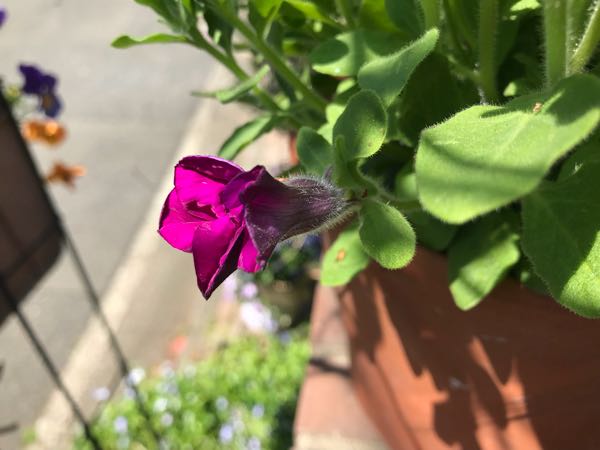 rblog-20180409192642-03.jpg