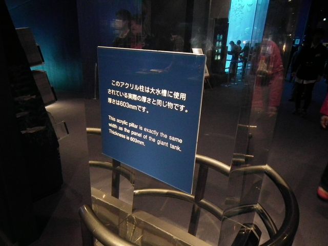 DSCF9250.JPG