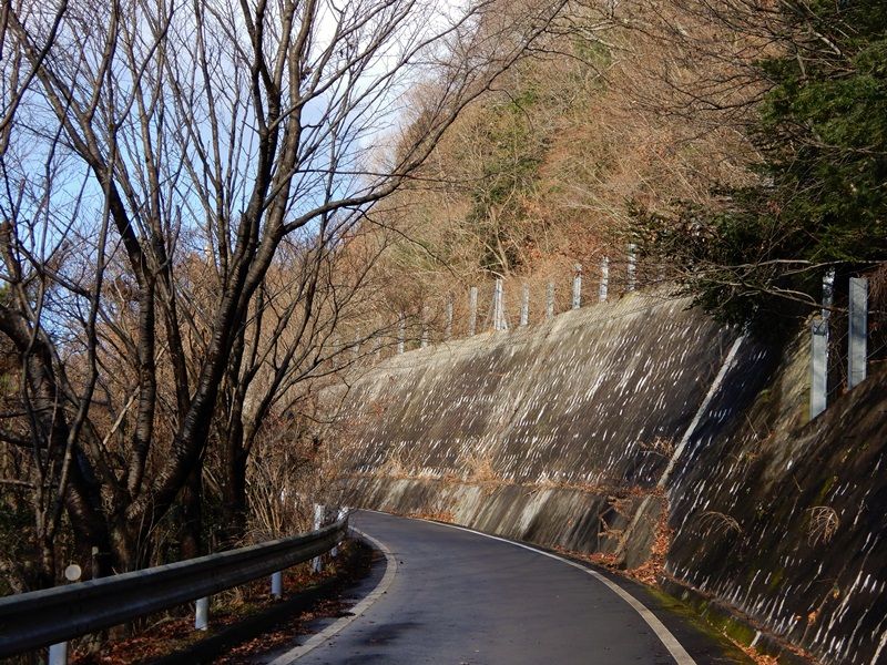 遊歩道1